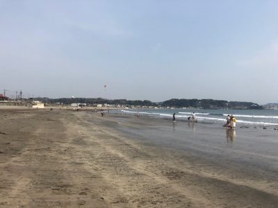 夏のシーズン到来