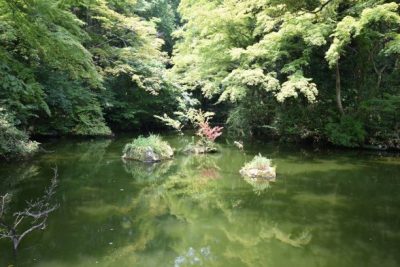 凛とした場所