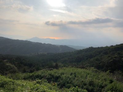 ドライブ絶景箇所（伊豆スカイライン）