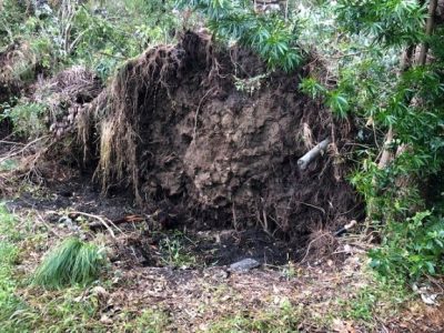 台風の影響