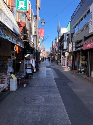 新年の挨拶　鎌倉・葉山