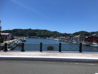 綺麗な海辺（下田白浜）