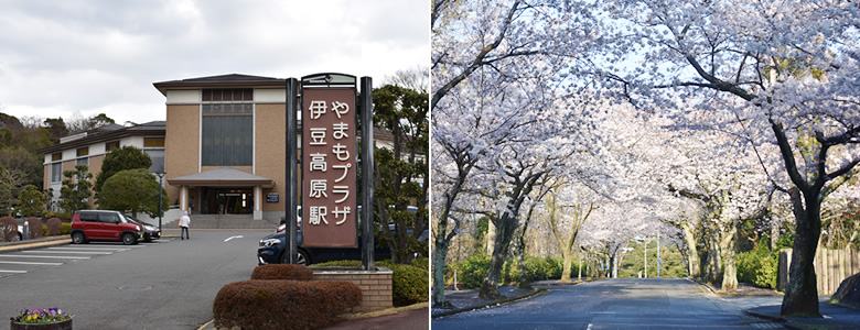 八幡野